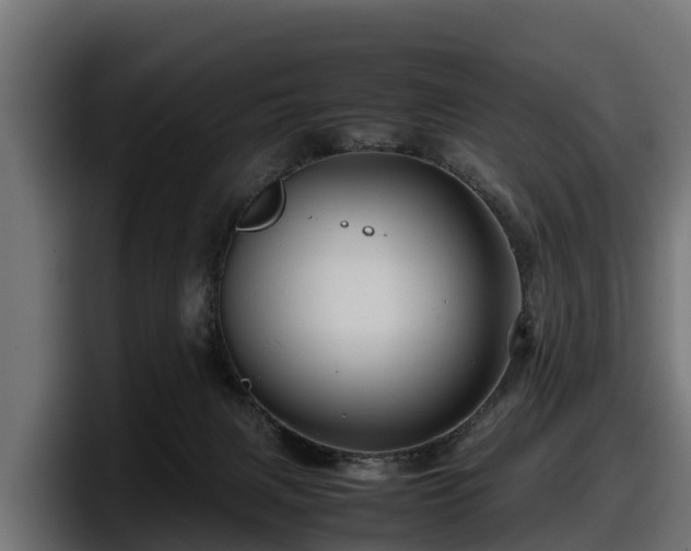 X0000097840079200803201526