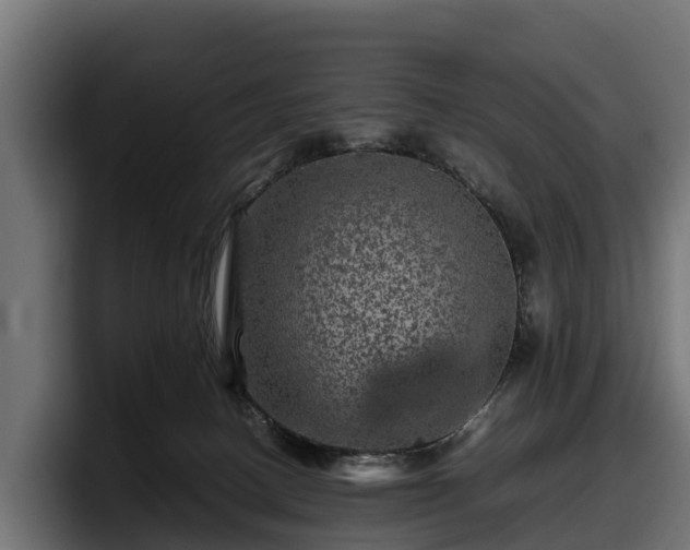 X0000097840082200803201526