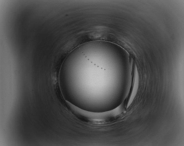 X0000097840085200803201526