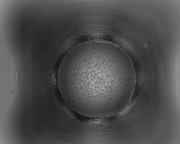 X0000097840086200803201526