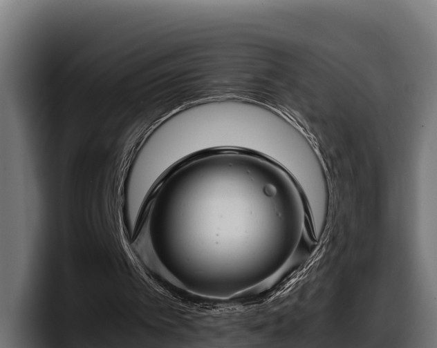 X0000097840097200803201526