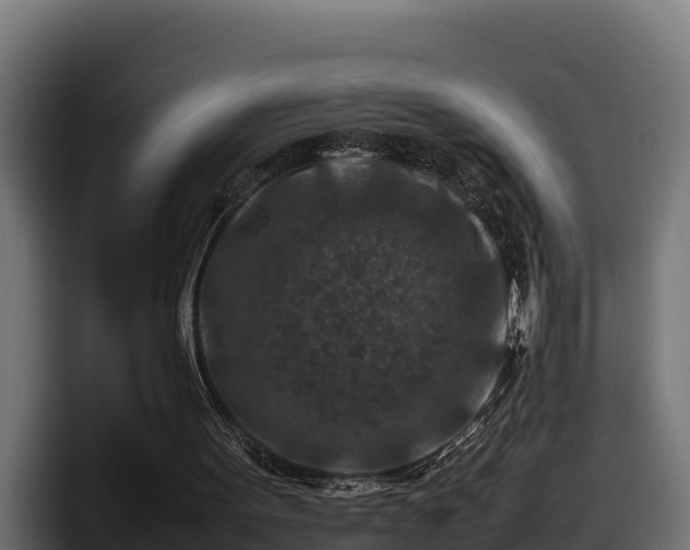 X0000097840099200803201526