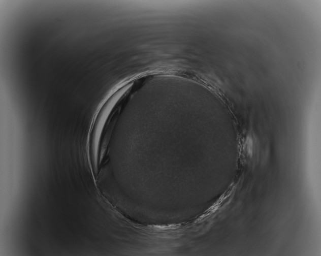 X0000097840100200803201526