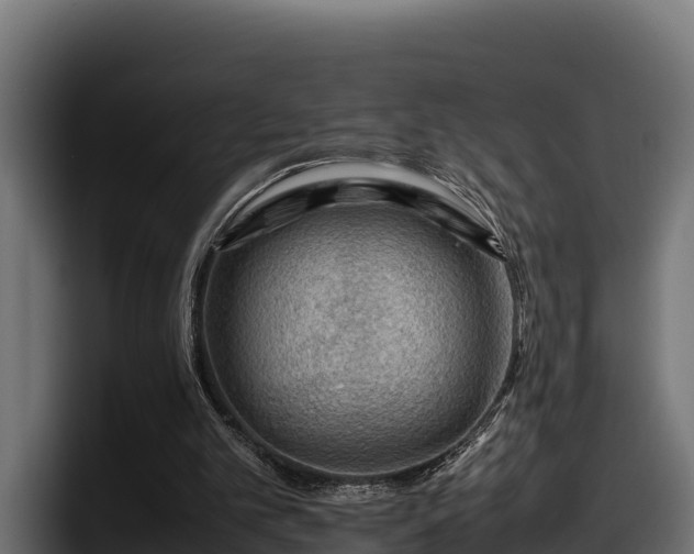 X0000097840101200803201526