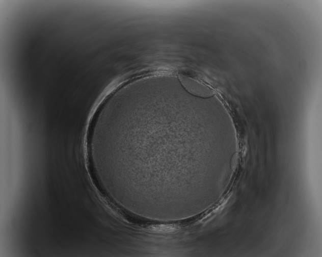X0000097840102200803201526