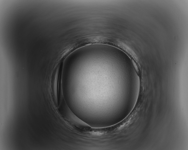 X0000097840105200803201526