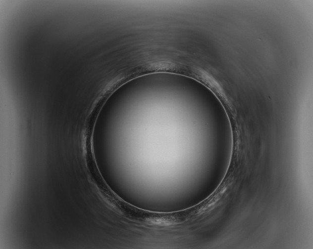 X0000097840106200803201526