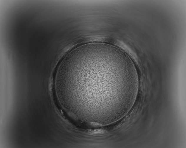 X0000097840107200803201526