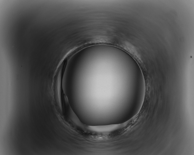 X0000097840108200803201526