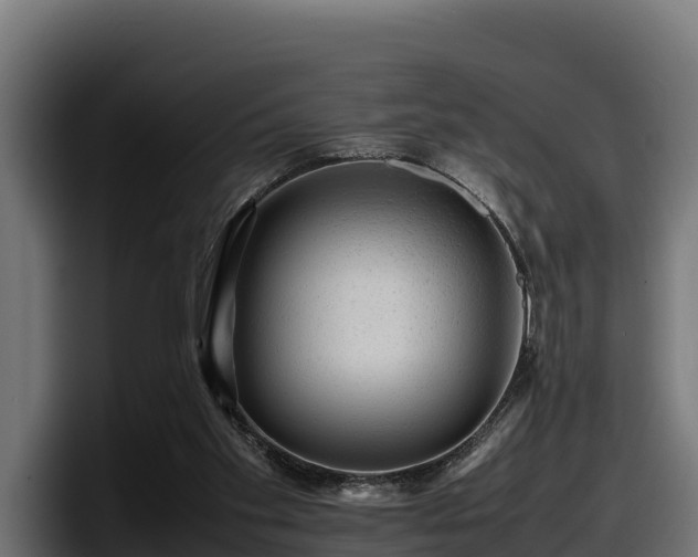 X0000097840109200803201526