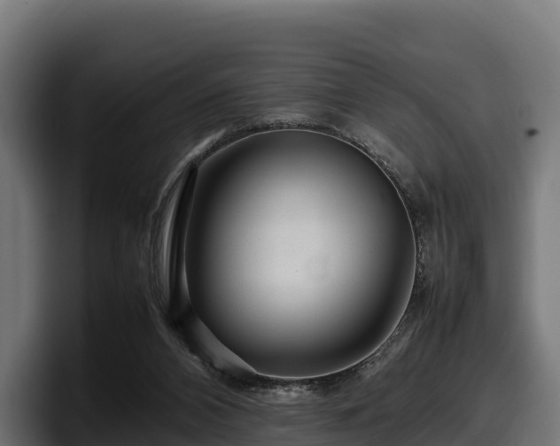 X0000097840112200803201526