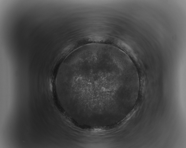 X0000097840114200803201526