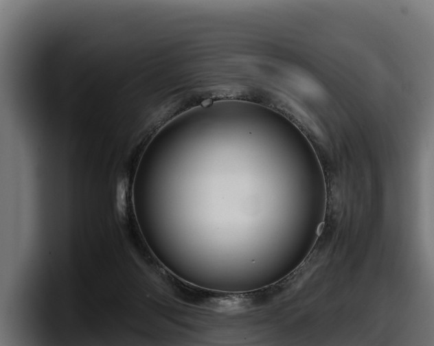 X0000097840118200803201526
