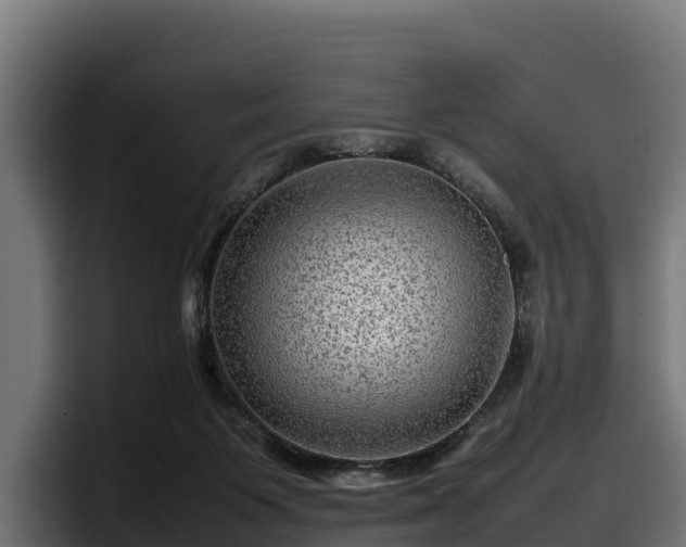 X0000097840119200803201526
