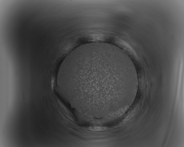 X0000097840123200803201525