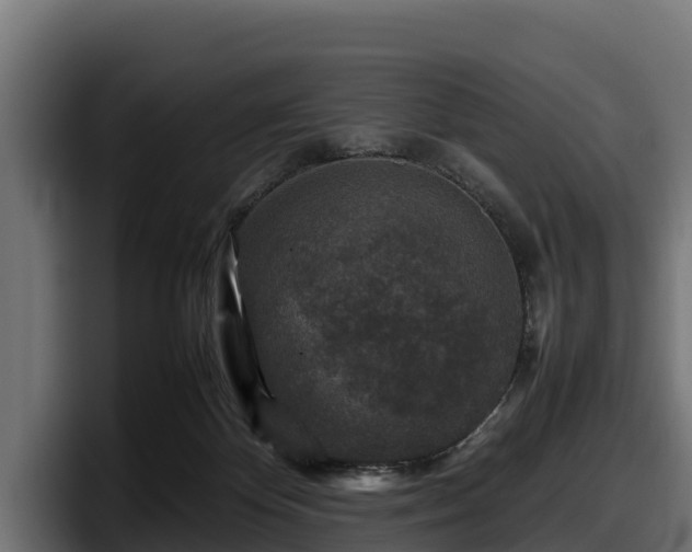X0000097840124200803201525