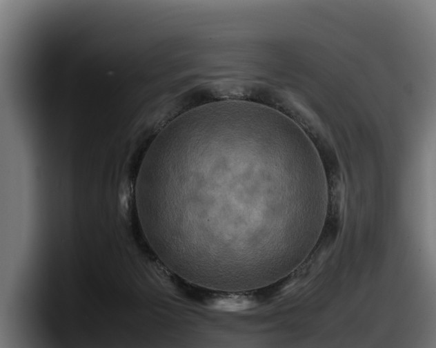X0000097840125200803201525