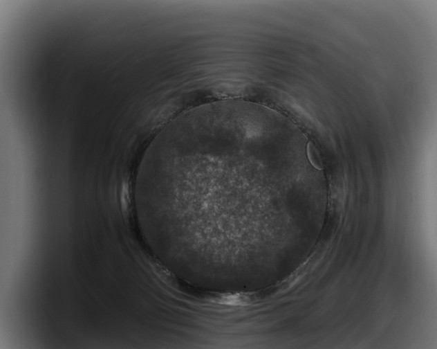 X0000097840130200803201525