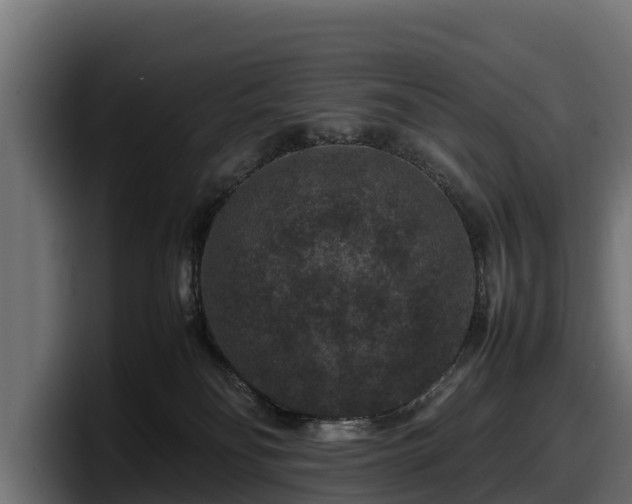 X0000097840134200803201525
