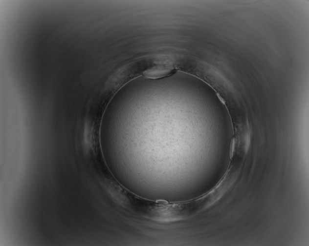 X0000097840136200803201525
