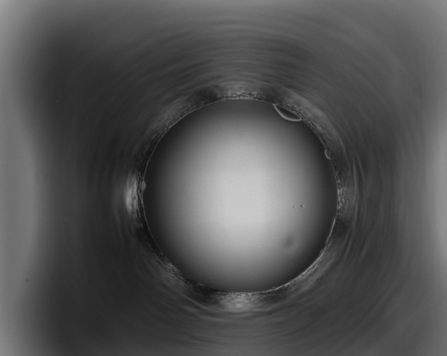 X0000097840142200803201525