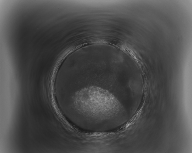 X0000097840145200803201525