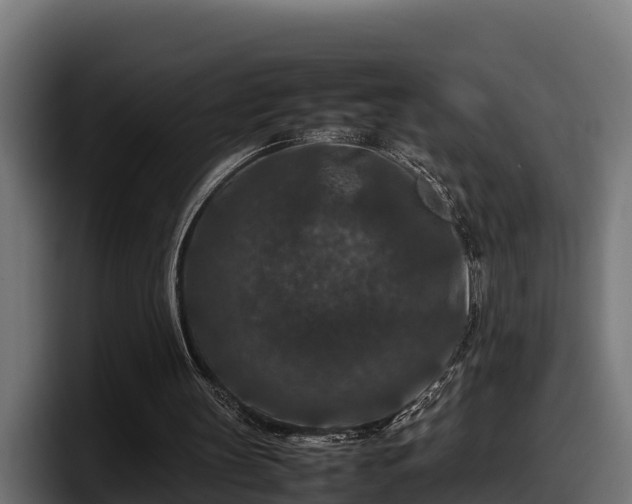X0000097840147200803201525