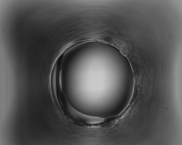 X0000097840148200803201525