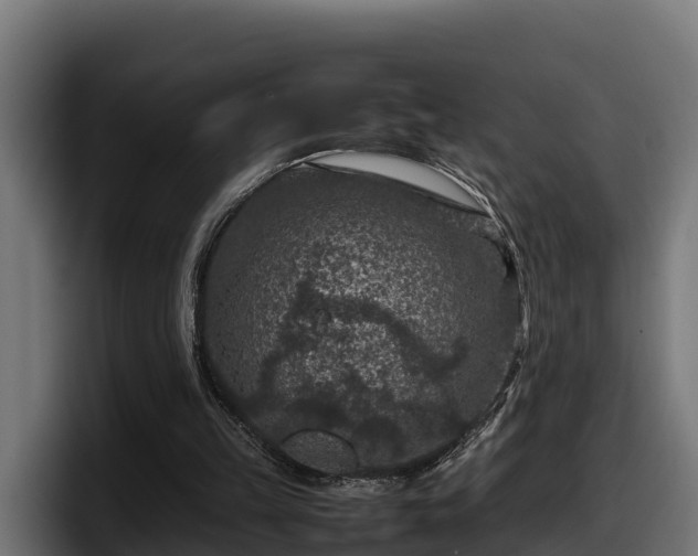 X0000097840149200803201525