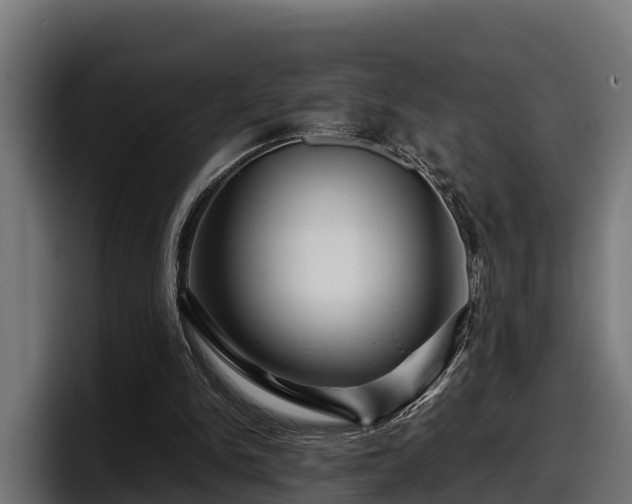 X0000097840150200803201525