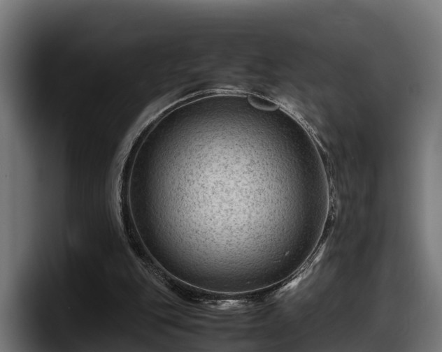 X0000097840151200803201525