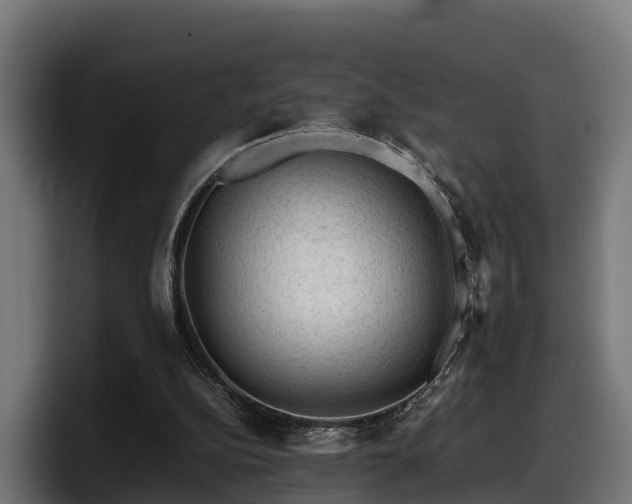 X0000097840152200803201525