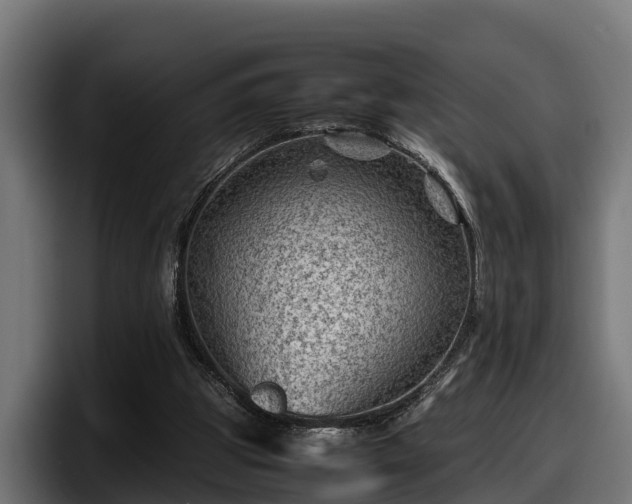 X0000097840153200803201525