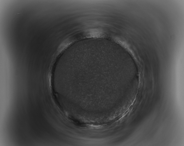 X0000097840154200803201525