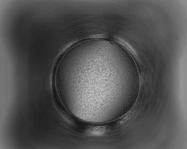 X0000097840155200803201525