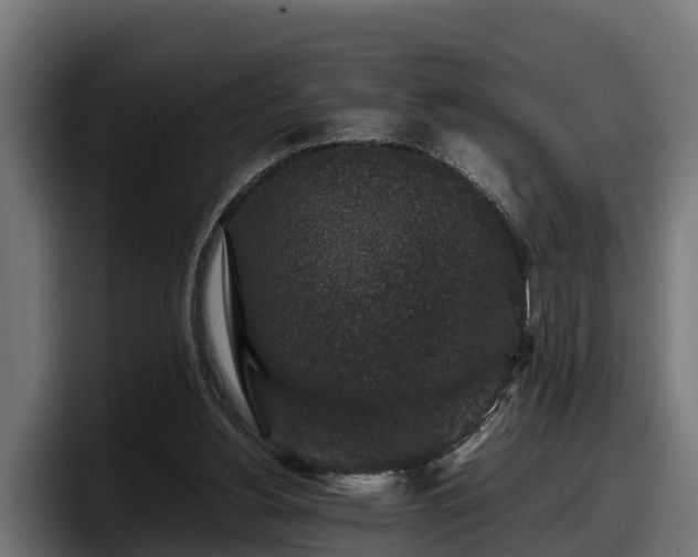 X0000097840156200803201525