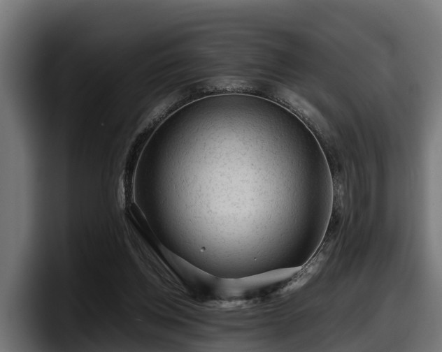 X0000097840158200803201525