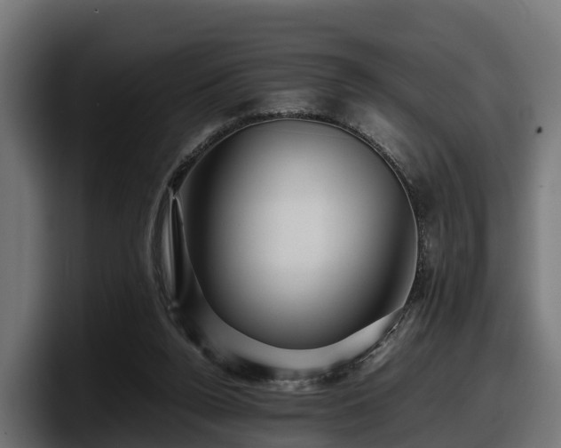 X0000097840160200803201525