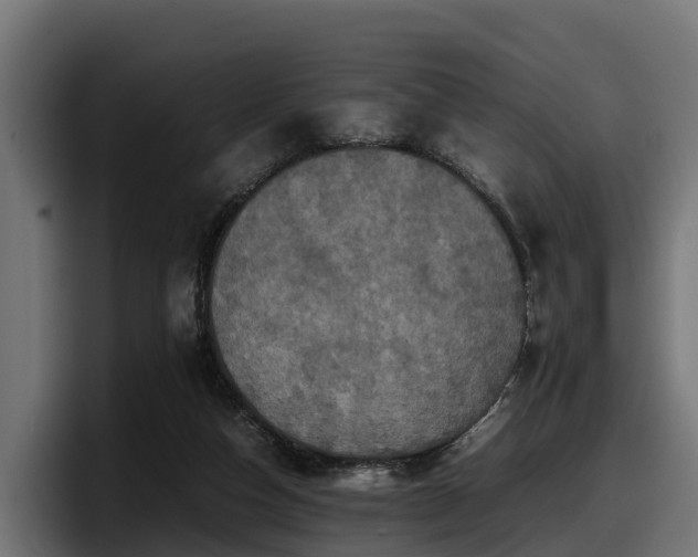 X0000097840162200803201525