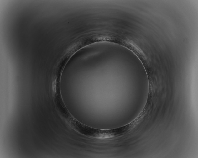 X0000097840163200803201525