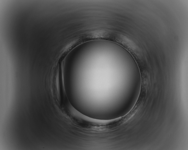 X0000097840164200803201525