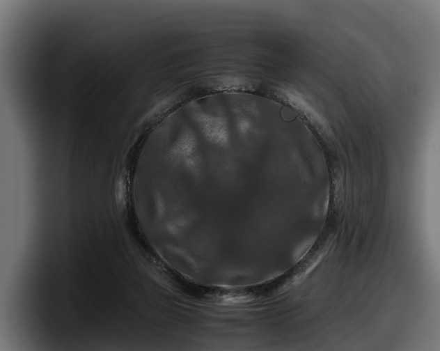 X0000097840165200803201525