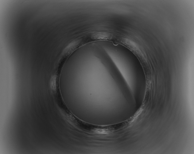 X0000097840167200803201525