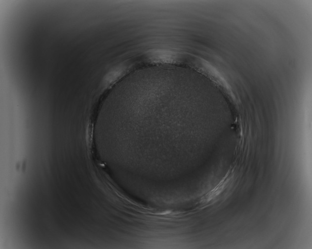 X0000097840168200803201525