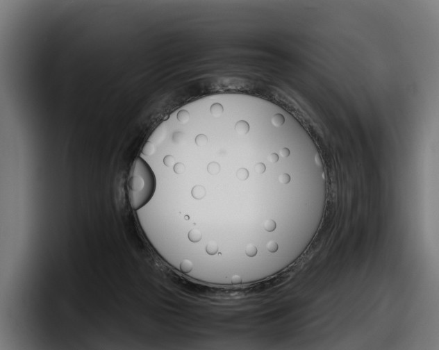 X0000097840169200803201525