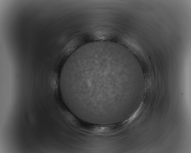 X0000097840174200803201525