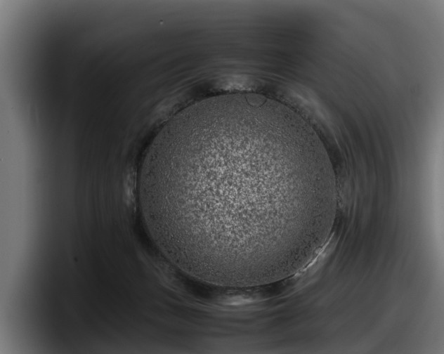 X0000097840175200803201525