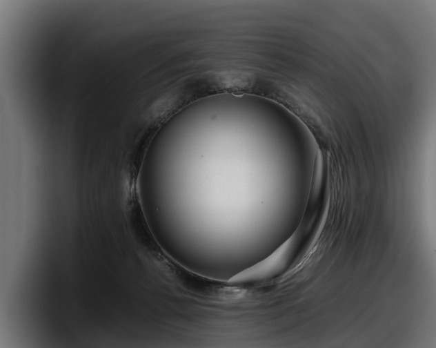 X0000097840176200803201525