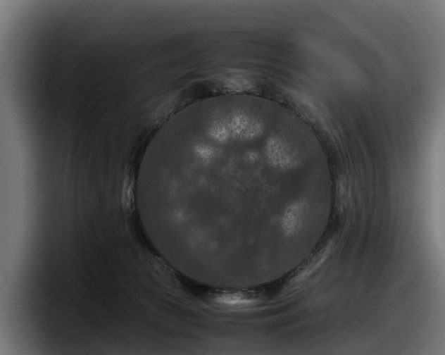 X0000097840177200803201525