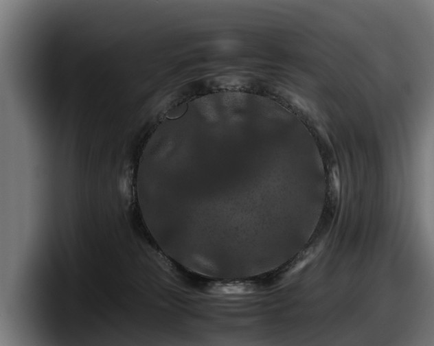 X0000097840181200803201525